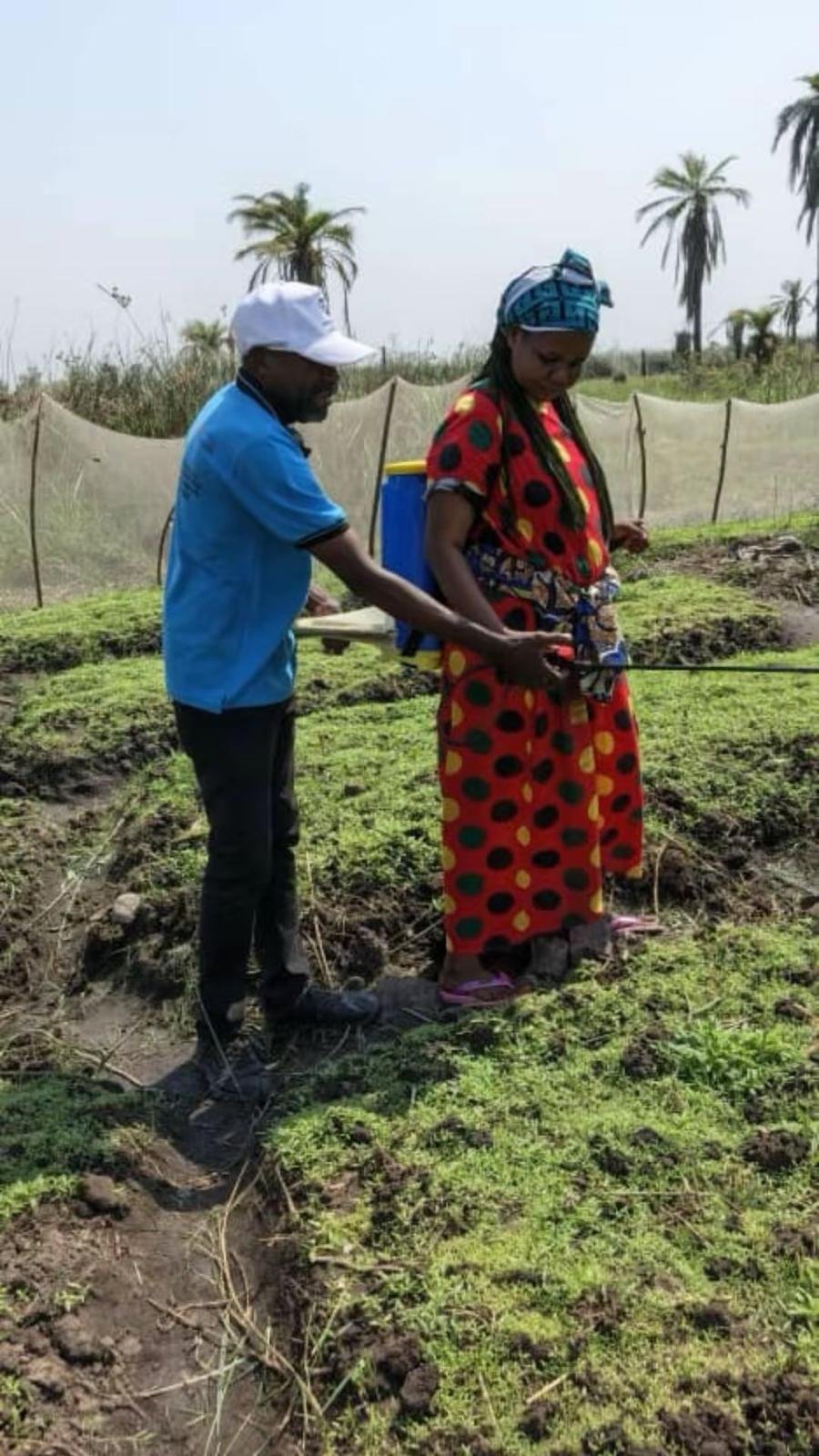 Encadrement technique sur le terrain pour assurer un bon rendement agricole.