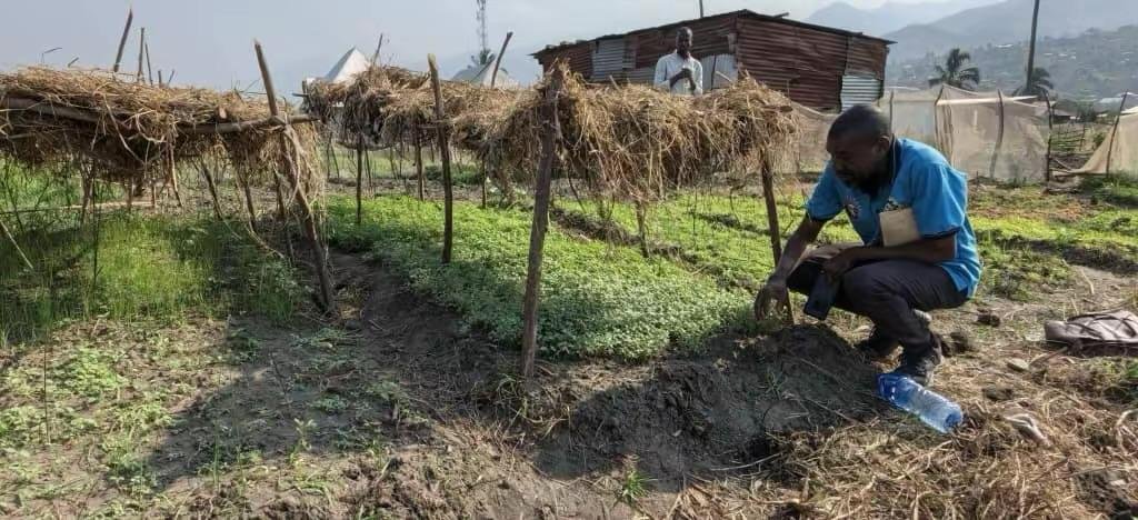 Suivi et inspection des pépinières maraîchères dans le cadre du projet